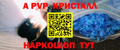 spice Кингисепп