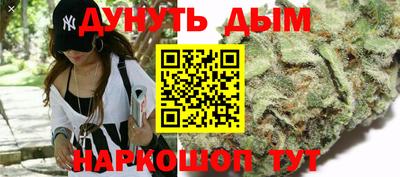 spice Кингисепп