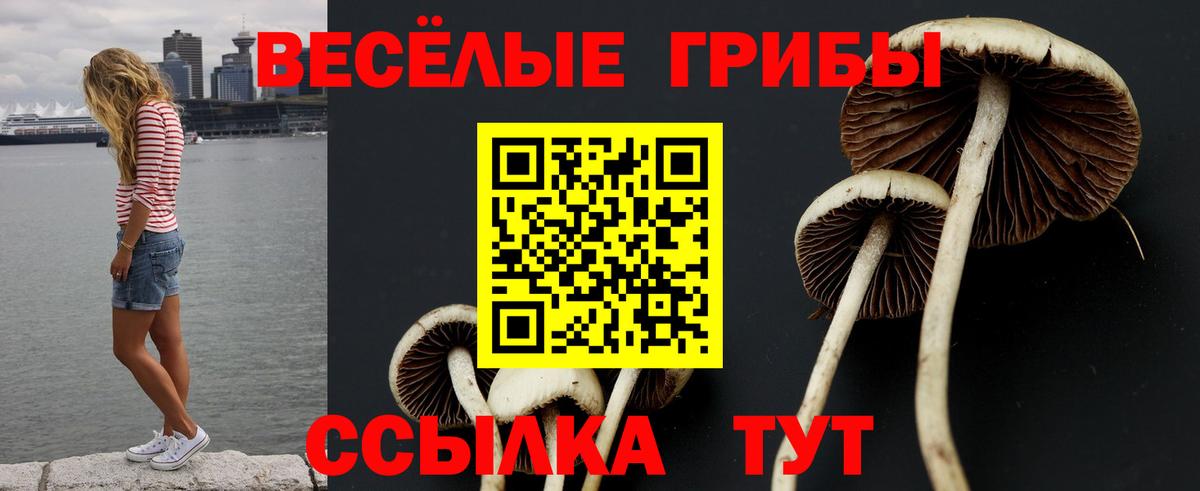 Псилоцибиновые грибы ЛСД  Вход с VPN  Галлюциногенные грибы GOLDEN TEACHER  Кимры 