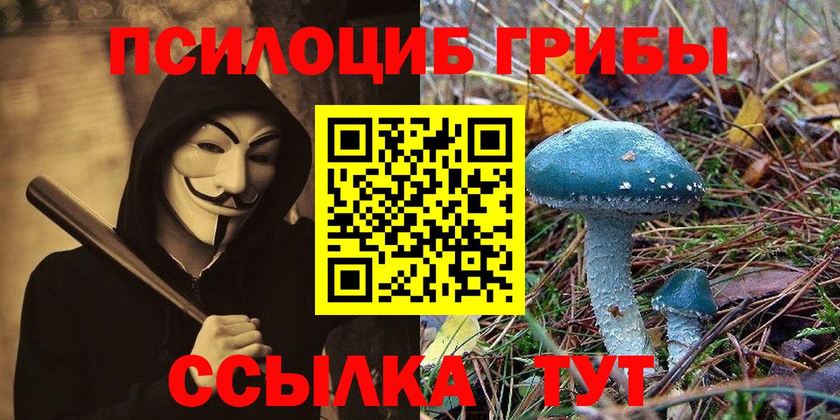 Галлюциногенные грибы MAGIC MUSHROOMS Кимры